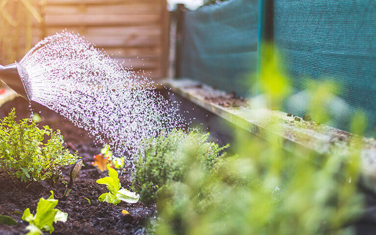 Jardin en train d'être arrosé